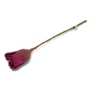 Tulipe - Cerise