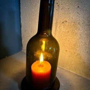 Le Photophore Brun