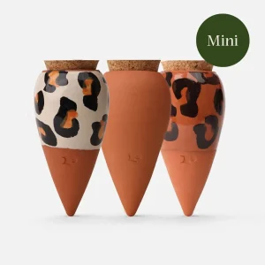 Les Minis Ollas Pépin - Les Léopards